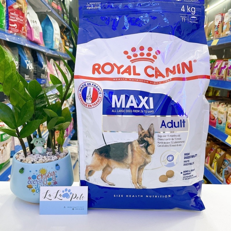 Hạt Royal Canin Maxi Adult cho chó trưởng thành cỡ lớn