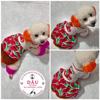 ĐẦM THUN DƯA HẤU