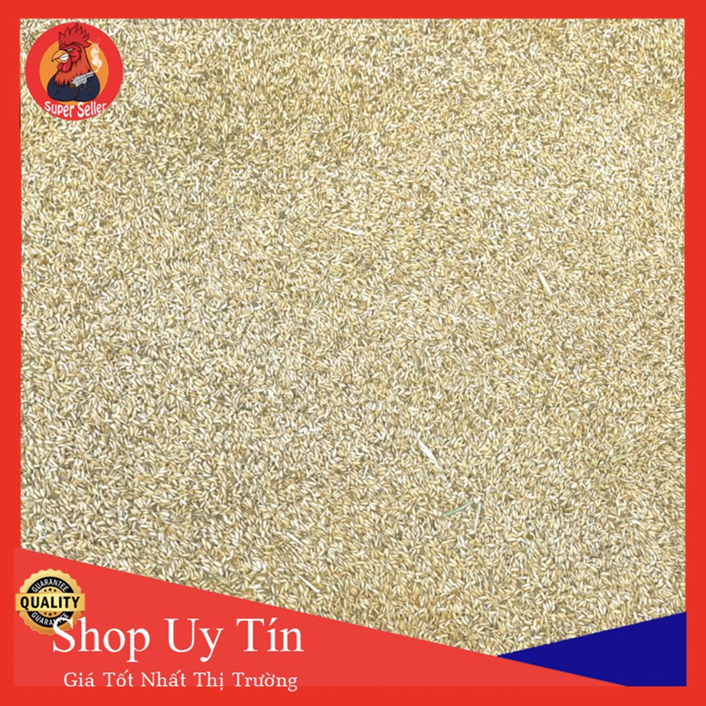 Lúa Hàm Trâu 2Kg Cho Gà Đá Chim Cảnh