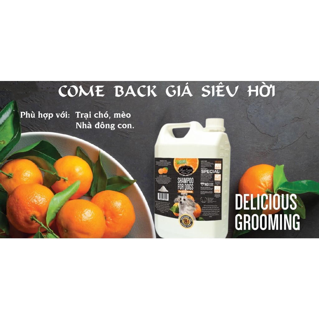 Sữa tắm dưỡng mềm lông RELIQ hương quýt dành cho chó mèo 3.8L
