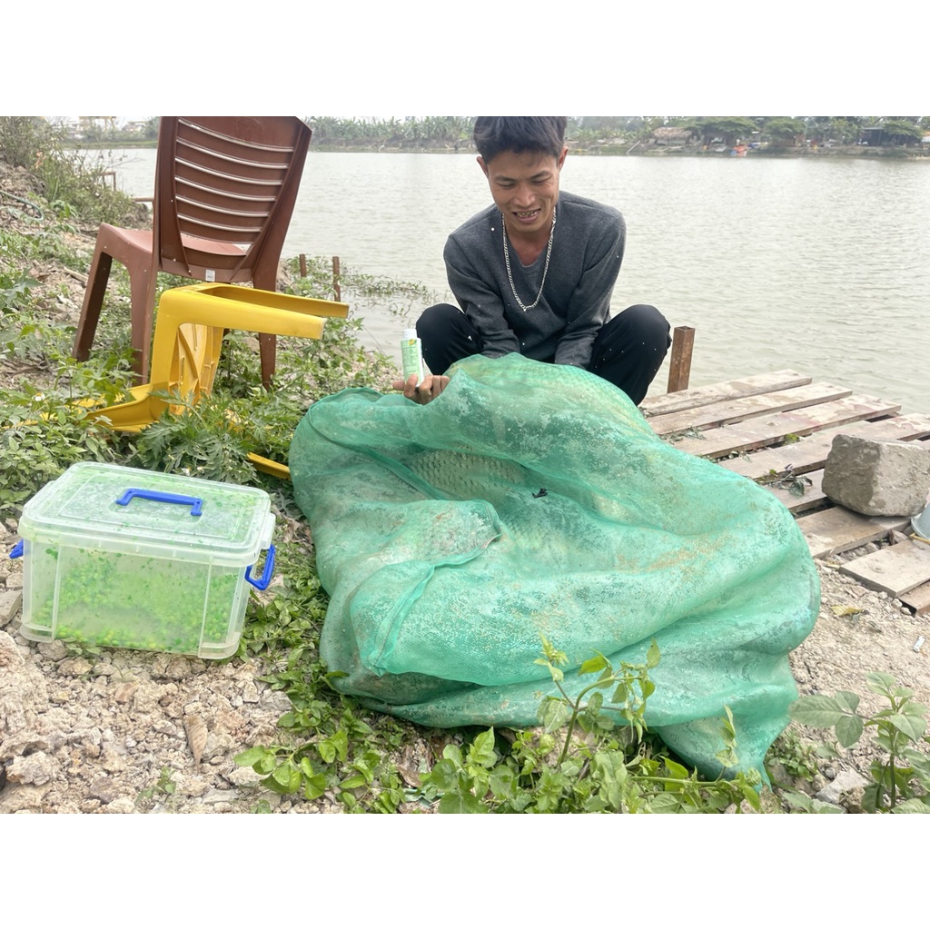 Hương Liệu Ngâm Ngô KG Bạch Thủy Câu Trắm - Chép