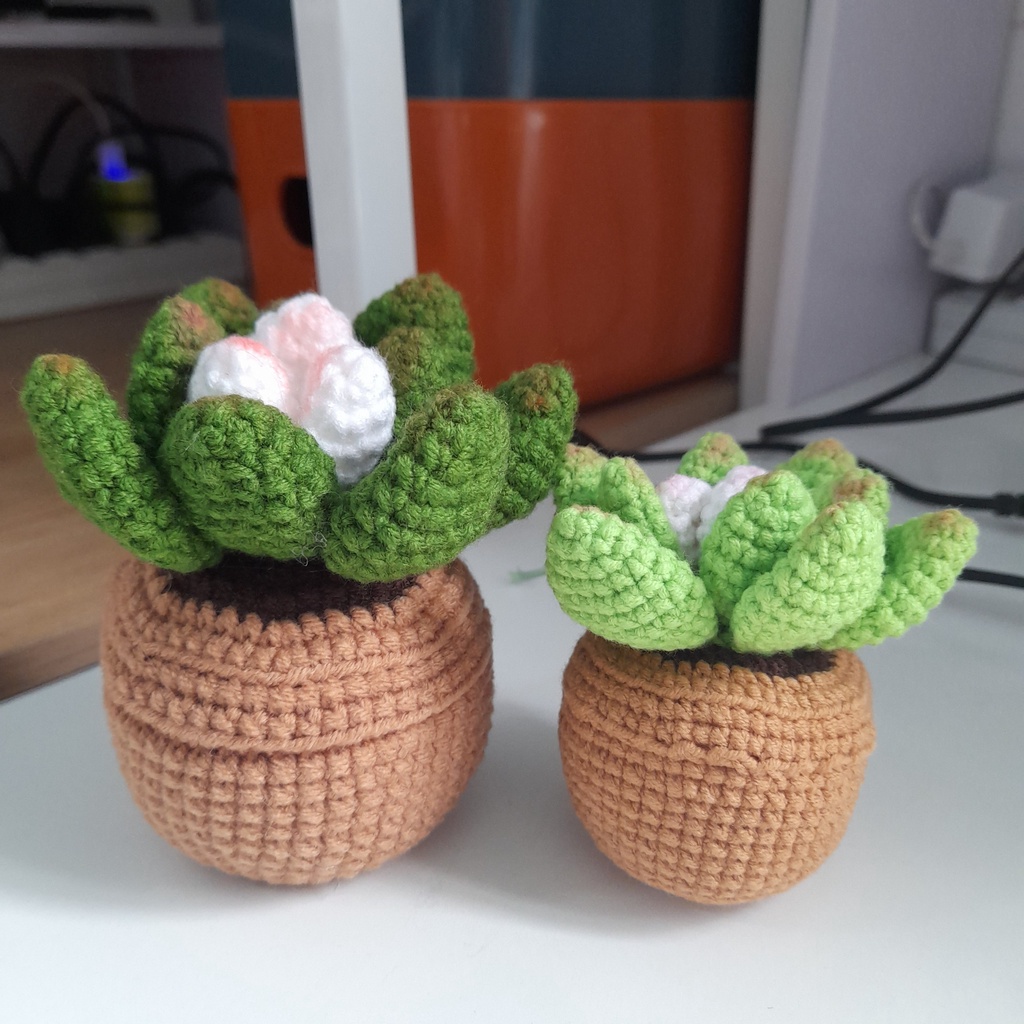Chậu sen đá handmade mini - được làm từ len sợi