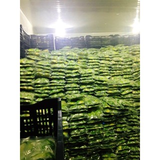 [HỎA TỐC HCM] Bơ cấp đông (1kg) bơ Booth - Snow Avocado