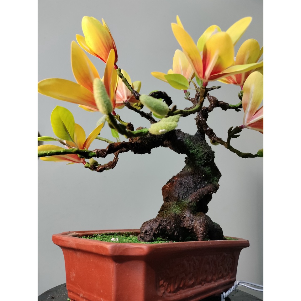 Cây giả cây hoa mộc lan giả bonsai trang trí nhà cửa bền đẹp (Hà Nội ship trong ngày)