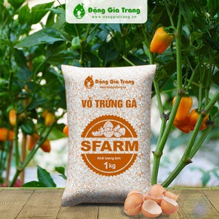 Vỏ trứng gà sfarm đã xử lý - 1kg