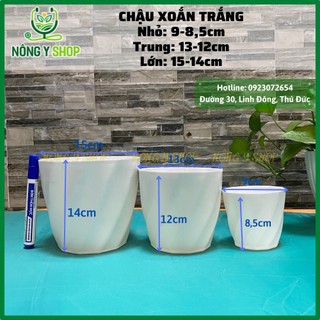 Chậu xoắn trắng, chậu nhựa trắng trồng cây, chậu để bàn, chậu trồng sen đá, chậu xoăn ốc,dày dặn, kiểng, xương rồng