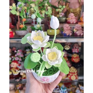 Chậu hoa sen bằng đất sét Nhật 20cm