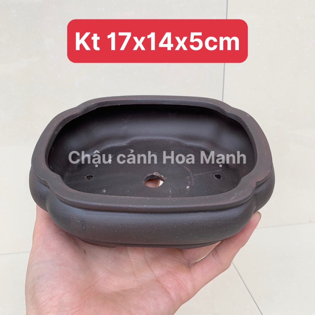 Chậu áng mây bonsai cây cảnh sen đá mini màu đen SP533