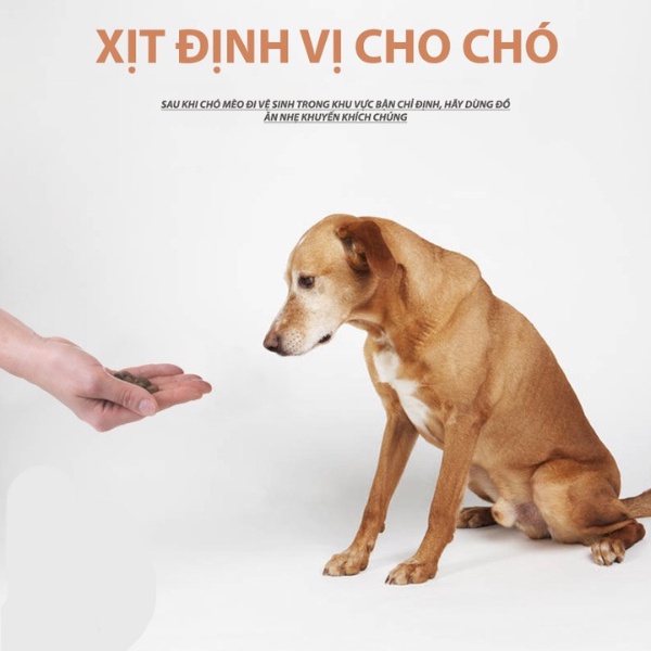 Xịt định vị vệ sinh chó mèo, tập thói quen đi vệ sinh đúng chỗ cho thú cưng