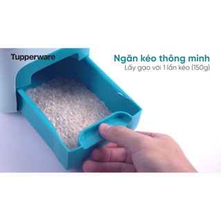 Thùng gạo 10kg-Rice smart Tupperware