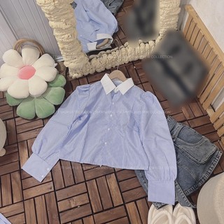 Croptop sơ mi tay dài kẻ sọc
