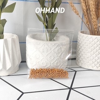 Phân tan chậm (50g) bỏ được từ 5 - 12 chậu sen đá