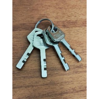 Khóa cửa cứng cáp ZSOLEX 4F, 5F, 6F