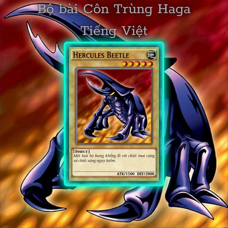 Bài in Yugioh theo yêu cầu