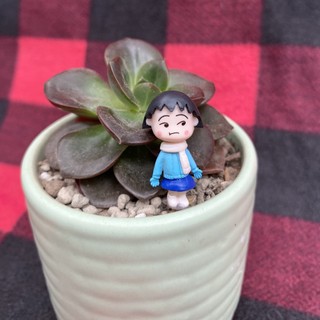 Phụ kiện trang trí tiểu cảnh: cô bé Maruko