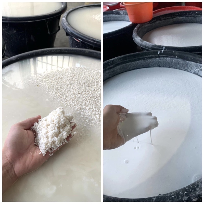 Vỏ ram hà tĩnh 100 lá