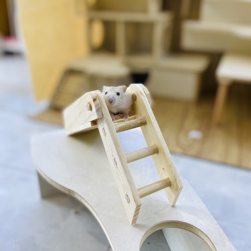 Thang gập gỗ thông cho hamster, sóc