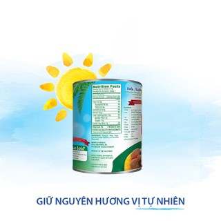 [SHIP ĐỒNG GIÁ 12K-20K TẤT CẢ ĐƠN] Dứa Tươi Nguyên Lát Dole (822g)