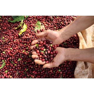 Cà phê Hạt Robusta Honey rang mộc 100% nguyên chất (gói 1000g)