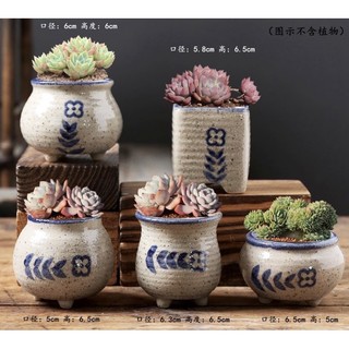 Set 5- 6 chậu trồng cây size mini nhập Trung - chậu trồng sen đá/xương rồng