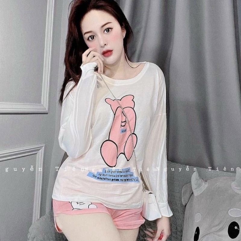 Sét bộ đồ nữ, sét bộ tay dài mặc ở nhà chất cotton thoáng mát
