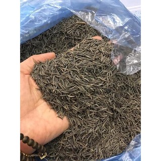HẠT GIỐNG SAO NHÁY( HOA CÁNH BƯỚ.M ) GÓI 500GR