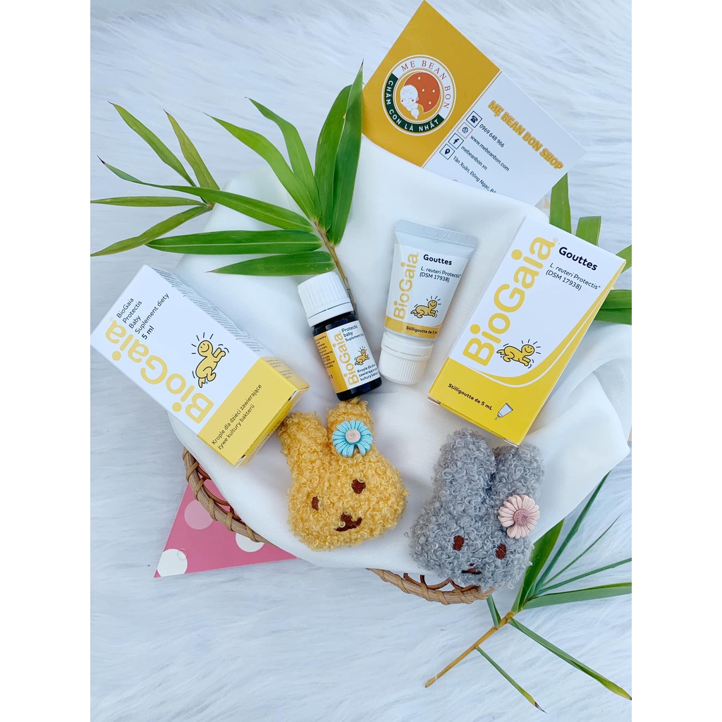 Hộp đựng men vi sinh Bio gai a cho bé từ sơ sinh