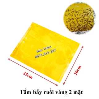 Set 50 miếng dán bẫy côn trùng, ruồi vàng kích thước 30cmx20cm
