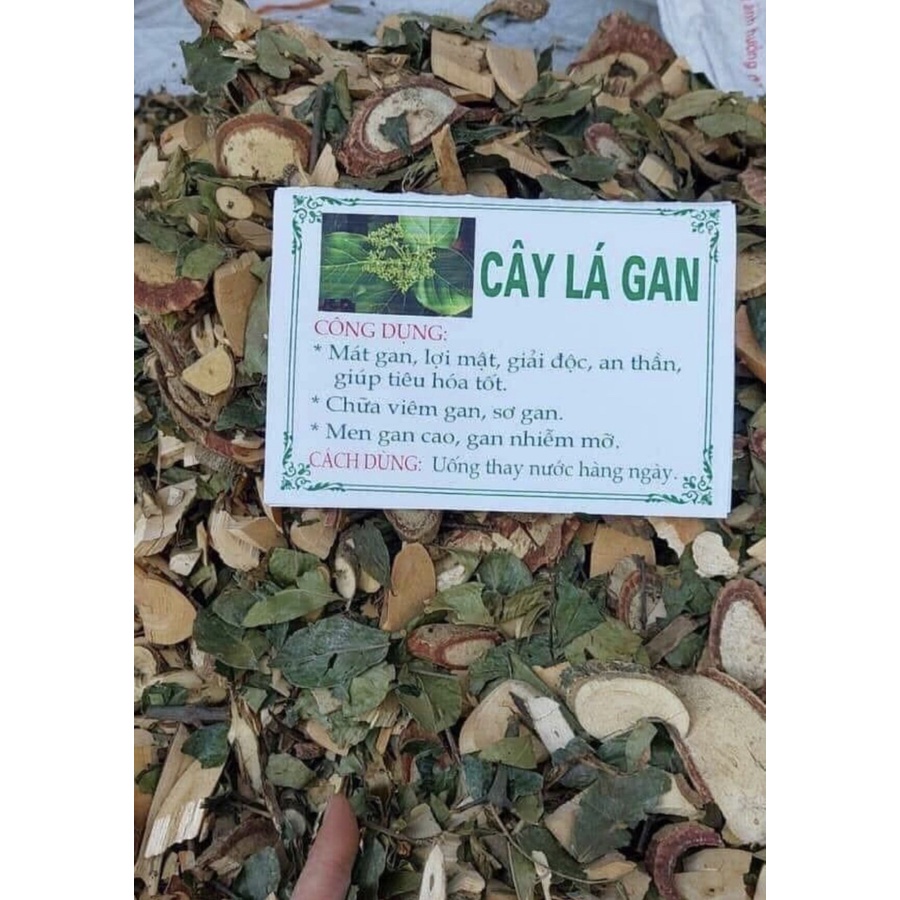 1kg CÂY LÁ GAN hỗ trợ men gan, sơ gan, gan mỡ, giải độc, thanh nhiệt- hàng loại 1