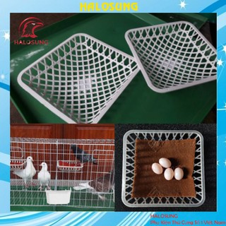 Rổ đẻ cho chim bồ câu loại tốt Phụ kiện lồng chim Halosung PK16