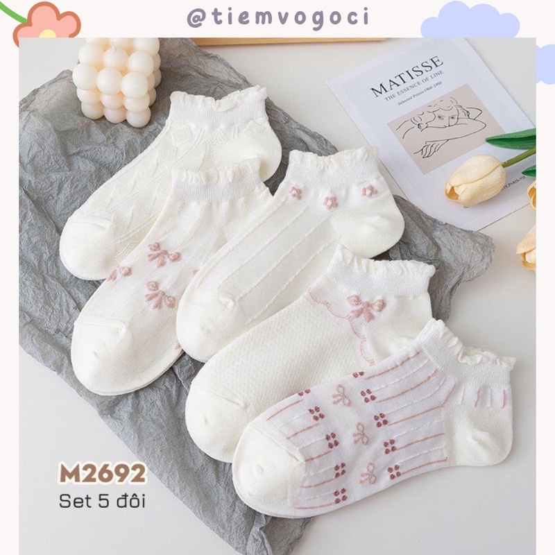 SET 5 ĐÔI Tất Cổ Ngắn Combo Tặng Túi Zip - Tiemvogoci
