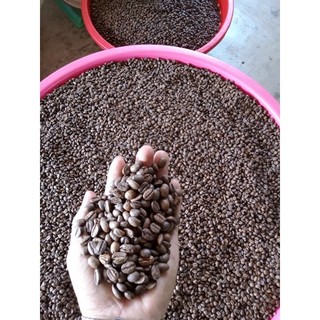Cà phê ROBUSTA rang xay nguyên chất Daklak