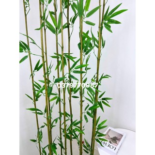 Cây giả - Combo 20 cây trúc dài 1m5 (Loại thường)