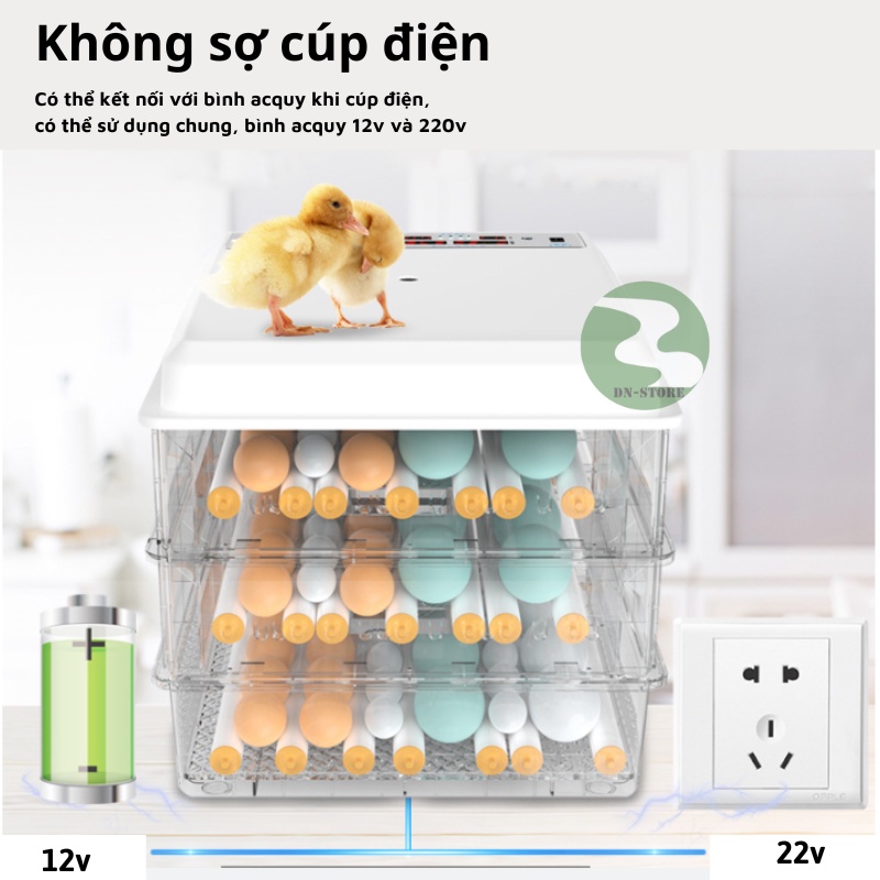 Máy ấp trứng mini thông minh tự đảo DN12-130 DN70