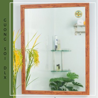Gương Treo Tường Phòng Tắm Khung Gỗ Composite Giả Màu Gỗ Trắc GS119 45x60cm