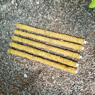 Trụ rêu rừng cho cây leo có thể nối lắp tiện lợi