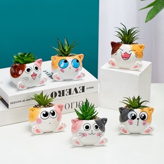 Chậu trồng cây hình mèo cute nhiều mẫu, chậu mini