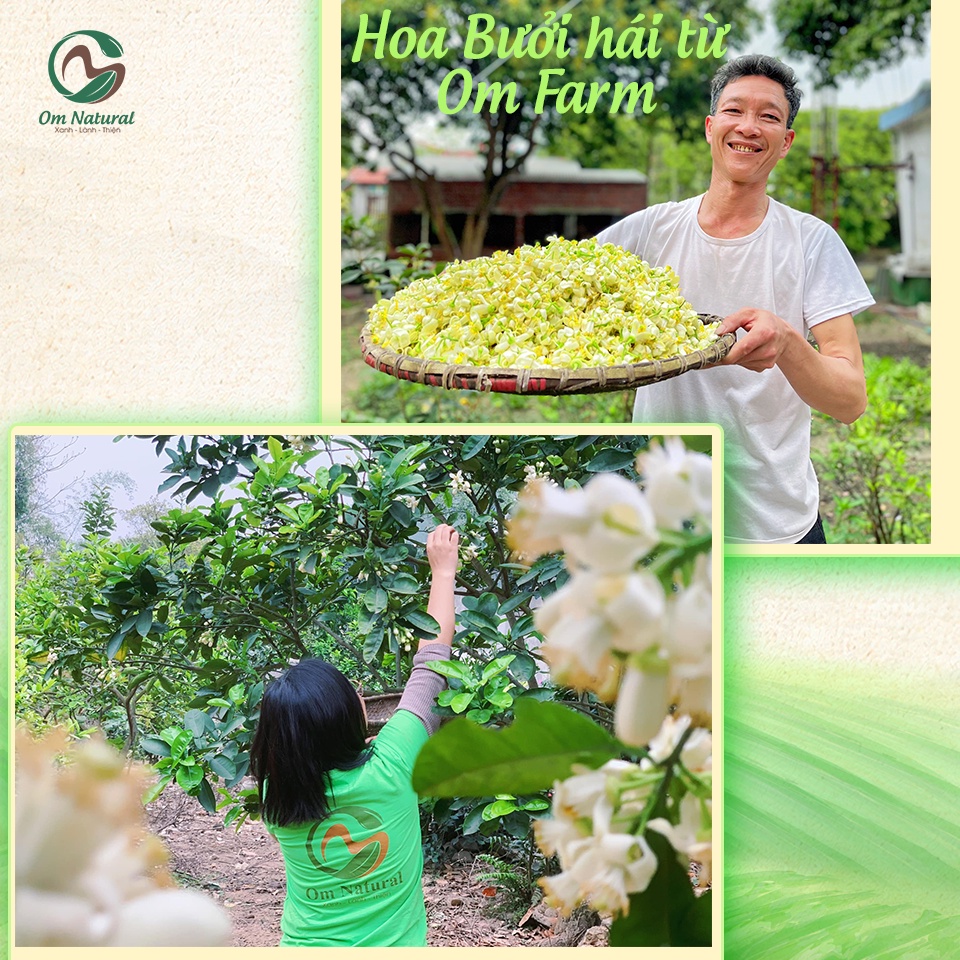 Nước Cất Hoa Bưởi OM Natural Kích Thích Mọc Tóc, Suôn Mượt Tự Nhiên 100ml