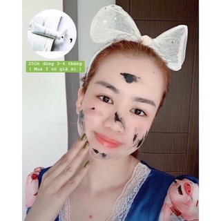 sửa rửa mặt than tre hoạt tính LoriB