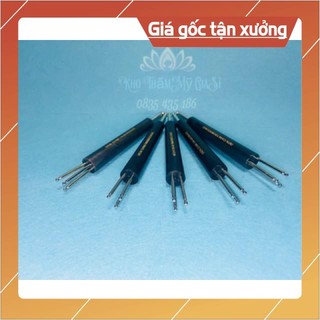 Cây sao chổi diện chẩn