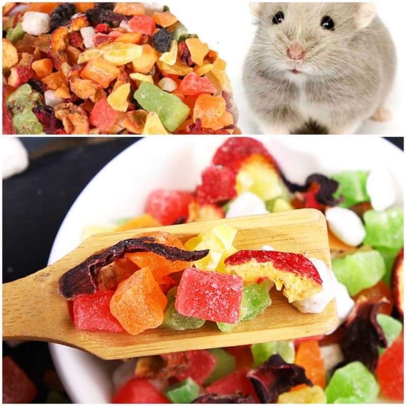 Trái cây sấy lạnh cho hamstser, sóc, nhím