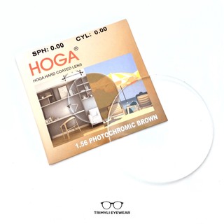 Tròng đổi màu xám/trà mắt kính đổi màu thời trang Trimyli Eyewear