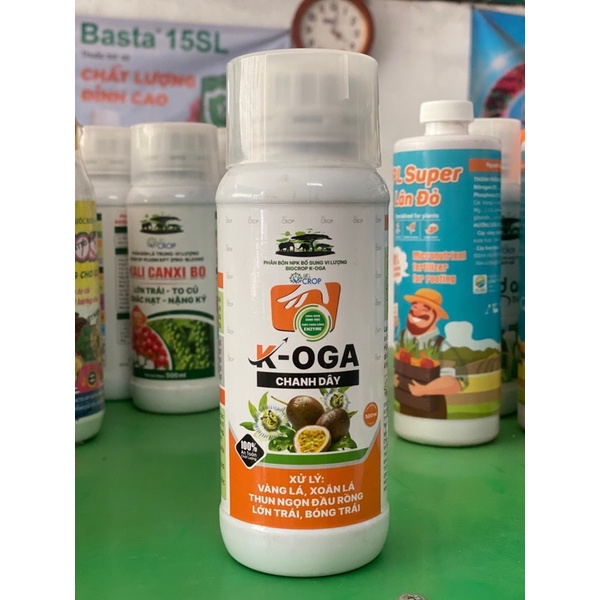 K-OGA CHANH DÂY (500ml)
