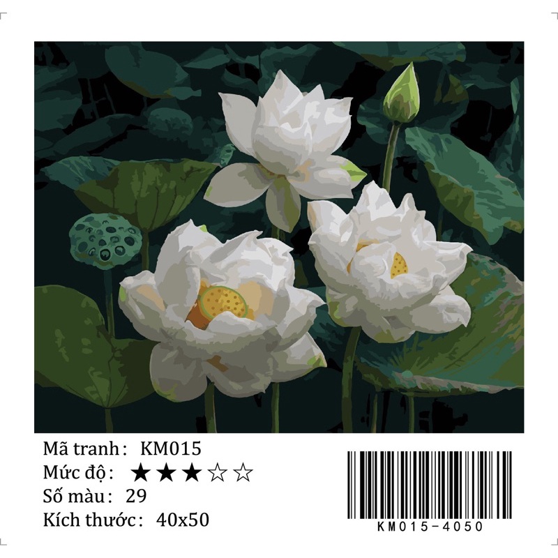 Tranh tô màu số hoá Hoa sen trắng (40x50)