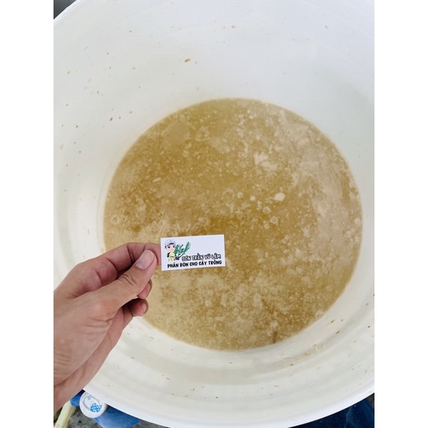 GE Gừng Phân Bón Hữu Cơ - Chai 500ml