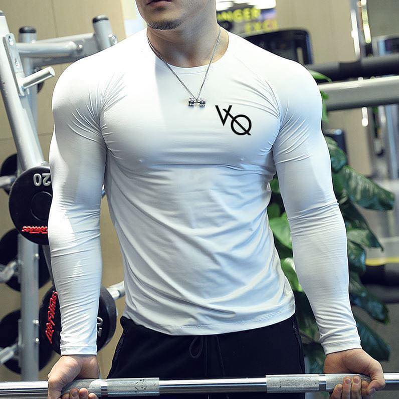 Áo Thể Thao Nam VQ Sport thun lạnh tập gym cổ tròn dài tay vải thoáng mát co giãn chuẩn form nhiều màu
