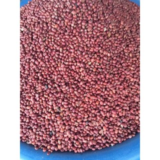 1kg đậu đỏ hạt nhỏ , đỗ đỏ hạt nhỏ (đỗ ta)