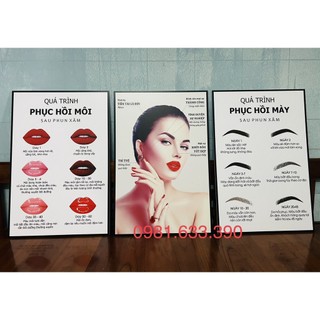 Bộ 3 tranh phun xăm, thẩm mỹ viện, phun môi mày
