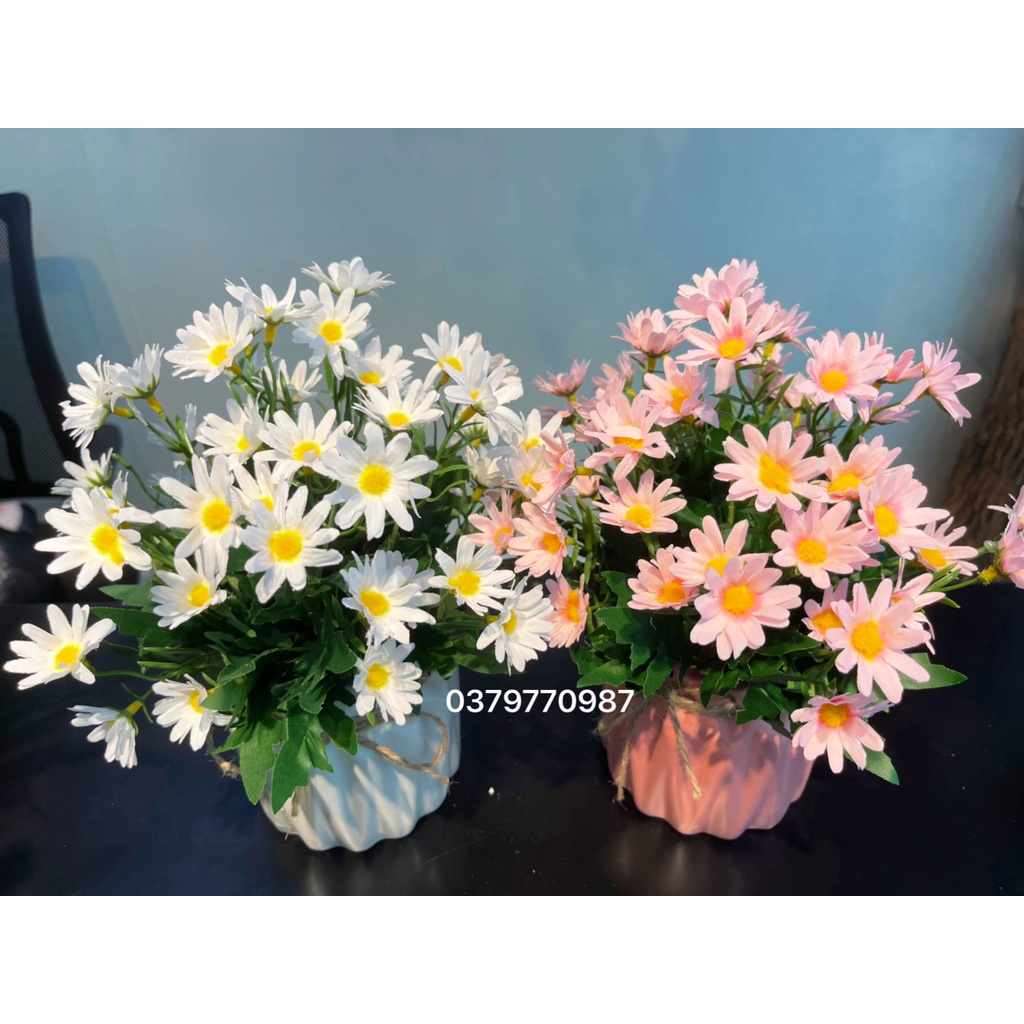 Cúc họa mi giả kèm bình sứ cắm sẵn cực đẹp cao 30cm để bàn phòng khách, văn phòng.