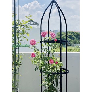Khung trồng hoa hồng cao 1m8 - 2m2 đường kính 40cm Daim Japan